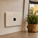 White wall socket on a beige wall next to a woven plant pot with greenery