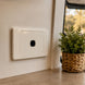 White wall socket on a beige wall next to a woven plant pot with greenery