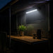 Dark interior of a vehicle with a wooden table, plant, and cups illuminated by a light source.