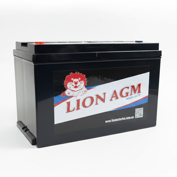 Lion AGM battery on a white background