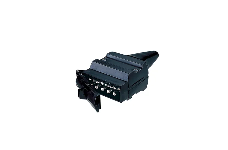 12 Pin Plug